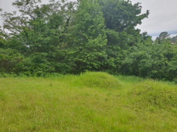 현장 사진 1