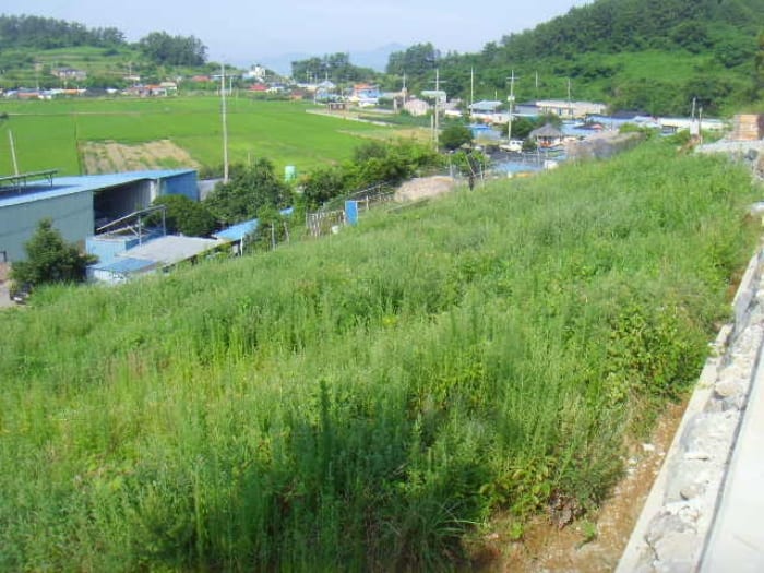 현장 사진 2