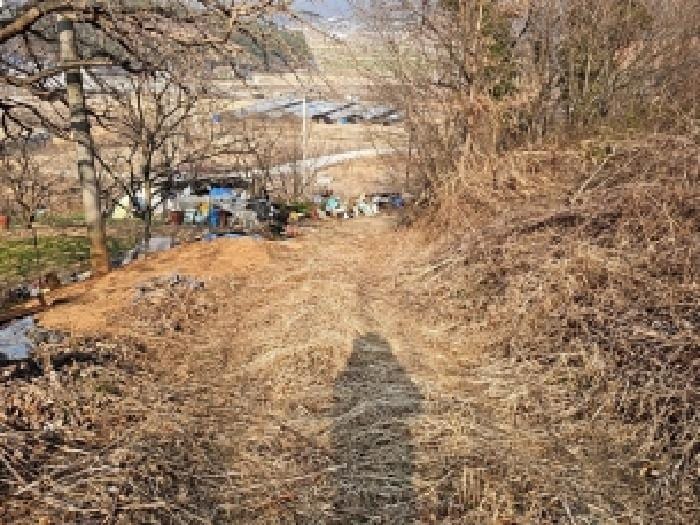 현장 사진 4