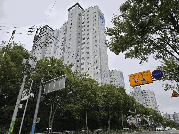 현장 사진 5