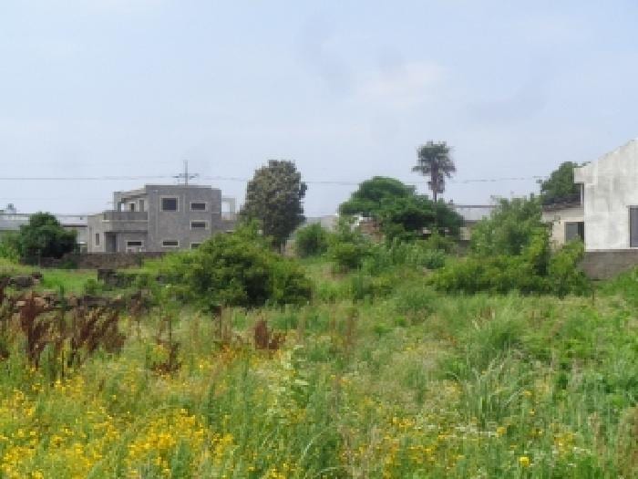 현장 사진 5