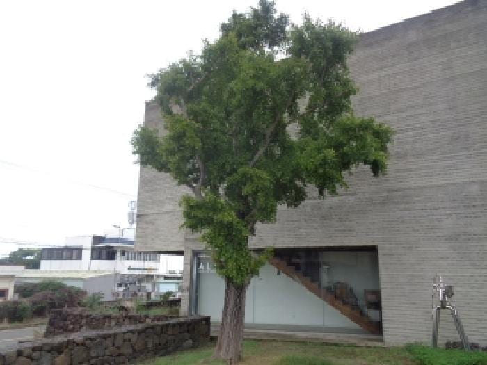 현장 사진 5