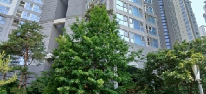 현장 사진 2