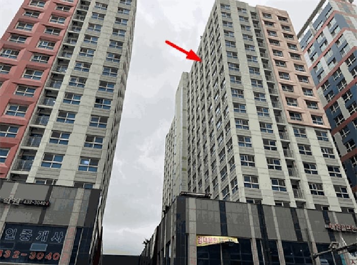 현장 사진 5